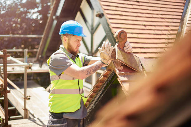 Best Residential Roofing Contractor  in Franklin Grove, IL